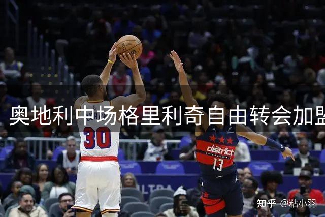奥地利中场格里利奇自由转会加盟弗罗西诺内